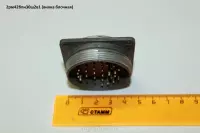 2рм42бпн30ш2в1 (вилка блочная)