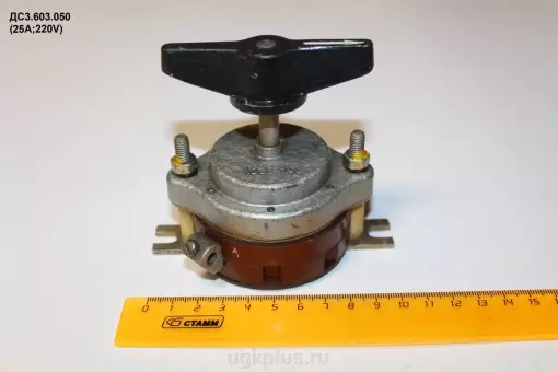 ДС3.603.050 (25А;220V)